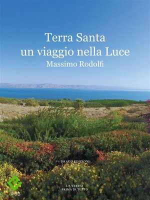 cover image of Terra Santa un viaggio nella Luce